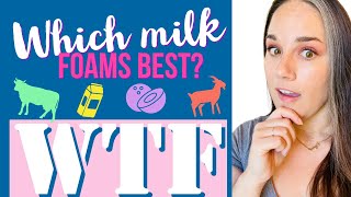 WTF 🥛Testing Milk Powders in Bath Bombs Which one is right for you 🤔 [upl. by Sharlene]