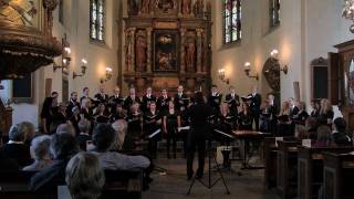 St Jacobs Youth Choir  Sleep [upl. by Tedi559]