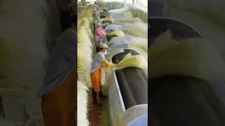 Sisal Soles Processing Full Video handmade natural shoes [upl. by Curr]