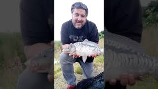 24 hours on Alder Lake at Coking Farm carp carpfishing cokingfarm fun shorts [upl. by Nolyag566]