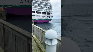 BEAUTIFUL NORWAY🇳🇴 beautiful norge cruiseship travel trending shorts motivation [upl. by Burg]