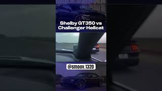 GT350 🆚 Hellcat [upl. by Bambie382]