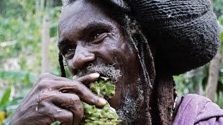 Rastafarian encounter in the Canaan Mountains Jamaica [upl. by Leitman]