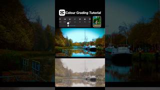 Cinematic ColourGrading Tutorial😍capcuteditcolorgradeeditingcinematicreelscoloureffects [upl. by Farron]