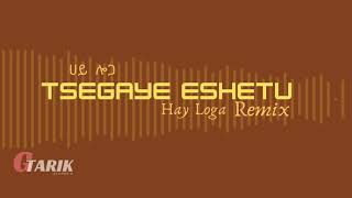 Tsegaye Eshetu  Hay Loga  Dj Gili Remix [upl. by Weismann]