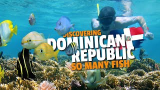 Exploring Underwater Wonders Adventure Snorkeling in the Dominican Republic  Vancity Adventure [upl. by Aimekahs]