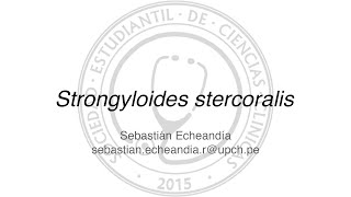 Strongyloides stercoralis [upl. by Im]