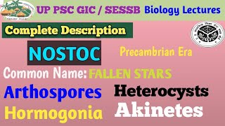 NOSTOC A CYANOBACTERIABGA Structure Life Cycle [upl. by Yzzo]