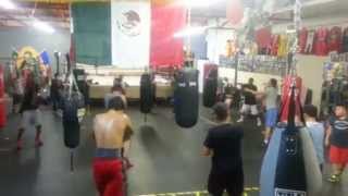 Danny Romeros Hideout Boxing Gym [upl. by Nahum915]