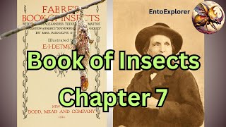 Life of a BagwormPsyche  Book of Insects  Chapter 7 by Jean Henri Fabre [upl. by Hiasi495]