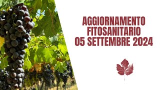 aggiornamento fitosanitario primi settembre [upl. by Ahron]