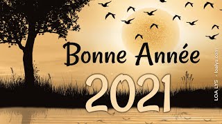 209  Bonne Année sourires  lumière  horloge [upl. by Mommy]