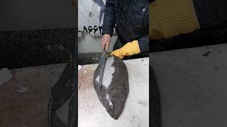 how to skin turbot fish  turbot cutting [upl. by Inalaehak]