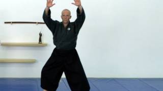 Ninjutsu stance application Hoko no kamae  technique for Akban wiki [upl. by Noremmac]