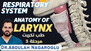 Larynx Anatomy  Respiratory system  شرح الحنجرة  طب تكريت مرحلة 3 [upl. by Adriell]