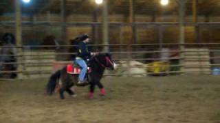 Cassanova the Great Cutest Mini Horse Barrel Racing [upl. by Klenk]