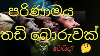 පරිණාමවාදය හරිද  වඳුරෙක් මිනිහෙක් උනාද🤭🤣 the theory of evolution is it true pinsara [upl. by Skell425]