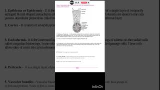 Class 11 Biology Practical 🌵🍄 Spotting  3 biologypractical tim class11biologypracticalClass 11 [upl. by Ara]