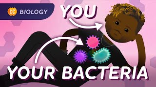 Bacterial DNA amp Genetics Crash Course Biology 38 [upl. by Gennifer]