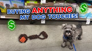 Buying My New Puppy Anything He Touches [upl. by Don]