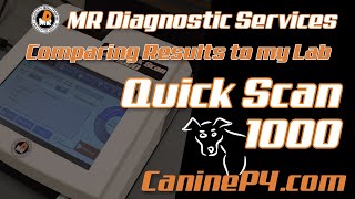 Will the Quickscan 1000 readings match my vet lab Canine Progesterone Testing [upl. by Finnie]