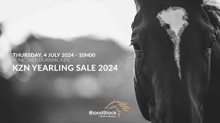 KZN YEARLING SALE 2024 [upl. by Adam]