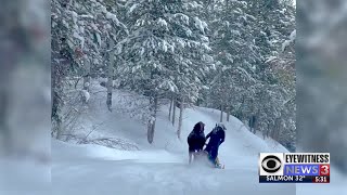 Moose attacks snowmobilers [upl. by Nerdna]