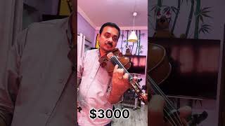 Difference between Cheep violin amp Expensive Violin [upl. by Ilise]