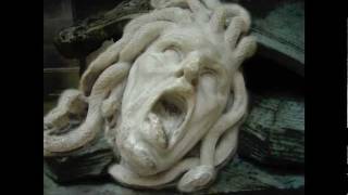 The Head of Medusa Photoshop Reconstruction [upl. by Yanehs512]