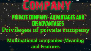 CompanyPrivate CompanyAdvantages and disadvantagesPrivilegesMultinational companies [upl. by Tillion]