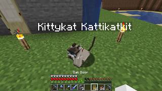 How to give your Cat a name  Minecraft [upl. by Calli]