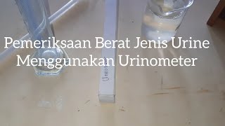 Urinalisis Pemeriksaan Berat Jenis Urine Urinometer [upl. by Kimmel]