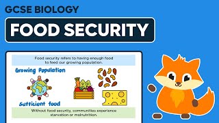 Food Security  GCSE Biology [upl. by Ahseik]