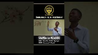 VERSE 2  SHAMBA LA MIZABIBU [upl. by Moguel]