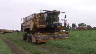 OXBO 6 Wheel 6165 Pea Combine [upl. by Ymmor]