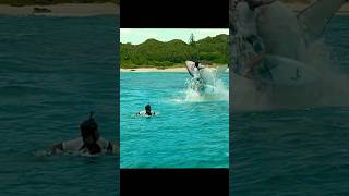 A Great White Shark Attacked and Ate two surfers 😱🫣 shorts viral [upl. by Severen286]