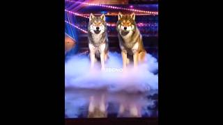 OMG 😳😱 THIS GUYS SHOCKED HOLE AGT JUDGES AND PEOPLE 😱😳 WATCH UNTIL THE END 🔚 agt foryou goviral [upl. by Loydie]