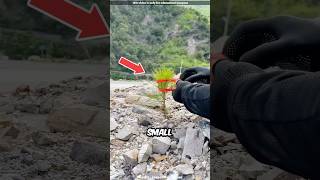 Rescuing a Tiny Roadside Plant 😍 [upl. by Uba]