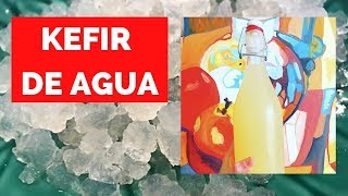 TIBICOS  Cómo deshidratarlos y rehidratarlos KEFIR DE AGUA [upl. by Atekan]