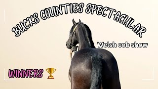 Bucks Counties Spectacular  Our Last Welsh Cob Horse Show Of The Year [upl. by Lund]