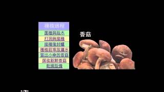 生物科技的農業科技方面 [upl. by Nana]