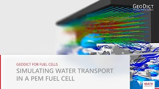 GeoDict simulation software for Fuel Cell RampD  Simulating water transport in a PEM fuel cell [upl. by Glasgo]