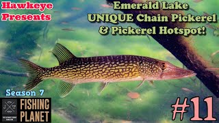 Fishing Planet 11  S7  Emerald Lake UNIQUE Chain Pickerel amp Pickerel Hotspot [upl. by Anuahs]