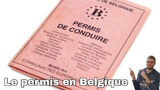 le permis de conduire en Belgique [upl. by Ailekahs]