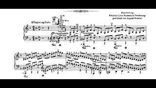 LisztStradal  quotMazeppaquot Symphonic Poem  RistoMatti Marin Piano [upl. by Bashemath375]