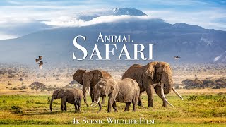 Animal Safari 4K  Scenic Wildlife Film With African Music [upl. by Anomar]