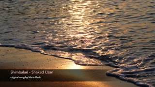 Shimbalaie  Shaked Uzan Maria Gadú Cover [upl. by Raphaela]