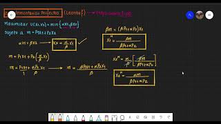 Elección Óptima Complementarios Perfectos [upl. by Akemeuwkuhc352]
