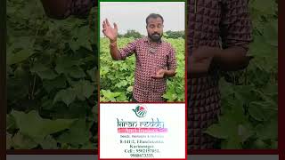 Best Seeds Pesticides amp Fertlizers Store in Karimnagar  Kiran Reddy Agri Traders  Seeds Store [upl. by Malone802]