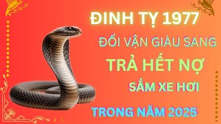 ĐINH TỴ SỐ HƯỞNG VÀO NĂM 2025 [upl. by Wildee]